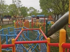 -上海海湾国家森林公园