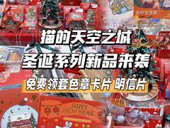 -猫的天空之城概念书店(大学路店)