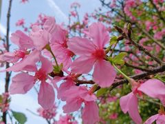 -文华公园(禅城区)