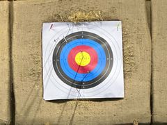 -蓝天射箭馆·专业射箭运动(诚丰广场店)