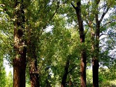 -国家植物园南园