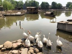 -河北村民俗体验园