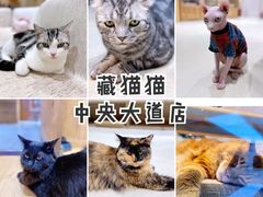 -藏猫猫咖啡主题馆(中央大道店)