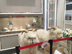 -新兴家喻酒家·羊城名宴(昌岗店)