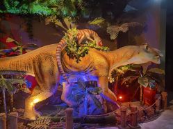 -恐龙探索乐园(磁器口店)