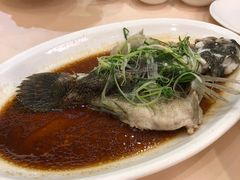 -益利大酒楼(井岸店)