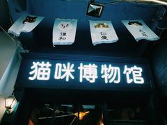 -猫咪博物馆(顶澳仔猫街店)