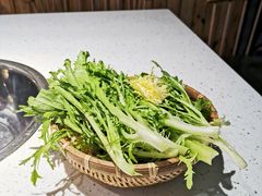 -攀枝花野菜铜火锅(万科凯德店)