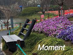 -圩墩遗址公园