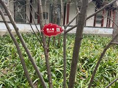 -秋霞圃