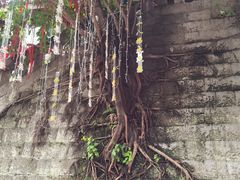 -重庆十八梯传统风貌区