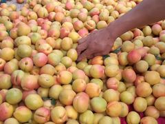 -党河风情线国家水利风景区