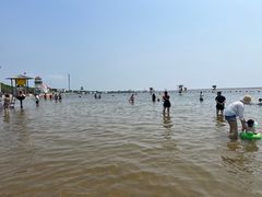 -碧海金沙