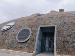 -上海吴淞炮台湾国家湿地公园