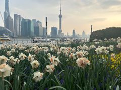 -北外滩滨江绿地