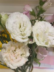 -北京俪婴妇产医院(朝阳大悦城店)