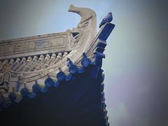 -真如寺