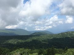 -凤凰山国家森林公园