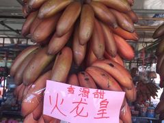 -大湾区中央湿地公园-十九涌