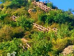 -大岭沟猕猴桃谷风景区