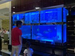 -金悦轩海鲜酒家(银河店)