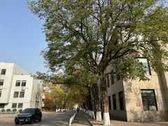 -辽宁大学(崇山校区)