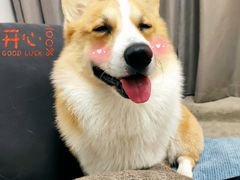 -小财盆地桌烤肉