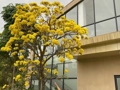 -东莞植物园