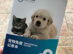 -关爱宠物医院·猫科中心·消化科(滨湖万达分院)