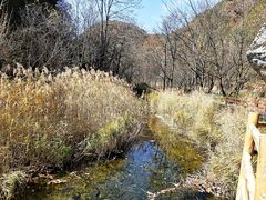 -洛阳白云山景区