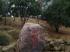 -融园咖啡馆(昙华林店)