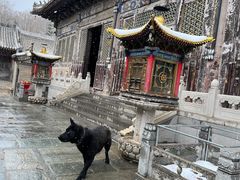 -五台山风景名胜区