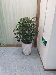 -痘院长·祛痘·皮肤管理