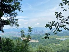 -大奇山国家森林公园