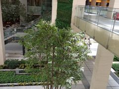 景观位-仁恒美食庭苑