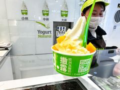 -Salud撒露欧洲冻酸奶(蓝色港湾店)