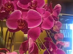 -花锦堂·隐庐