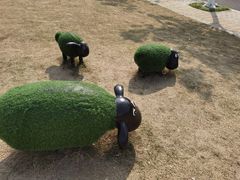 -映月湖中央公园