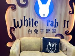 -白兔子密室(长寿路店)