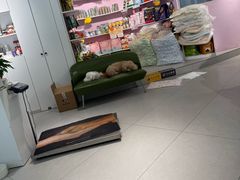 -小呆的宠物店·宠物售卖·宠物寄养(城西店)