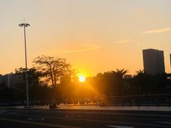 -中澳友谊花园