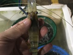 -海峡水产品交易中心(海鲜交易区)