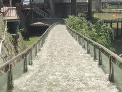 -牛背梁国家森林公园