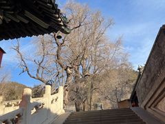 -潭柘寺景区