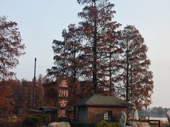 -东湖落雁景区