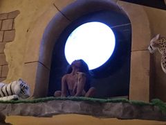 -信不信由你博物馆