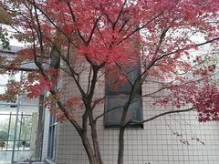 -江南大学(蠡湖校区)