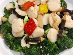 蘭花彩菌炒帶子-港澳德兴火锅海鲜酒家(殷皇子店)