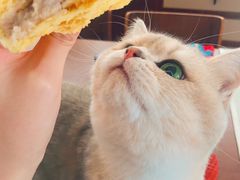 -LELECHA乐乐茶(新街口大洋店)