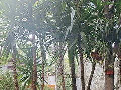 -瑞丰园庭院餐厅·白族传统家常菜